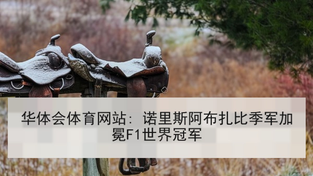 华体会体育网站: 诺里斯阿布扎比季军加冕F1世界冠军 华体会体育网站: 诺里斯阿布扎比季军加冕F1世界冠军