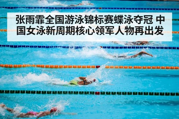 competitive swimming pool