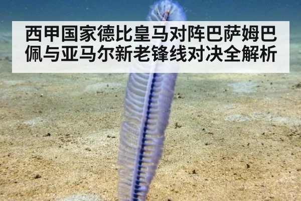 西甲国家德比皇马对阵巴萨姆巴佩与亚马尔新老锋线对决全解析