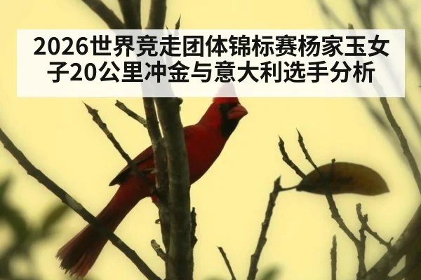 2026世界竞走团体锦标赛杨家玉女子20公里冲金与意大利选手分析